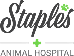 Staples Animal Hospital